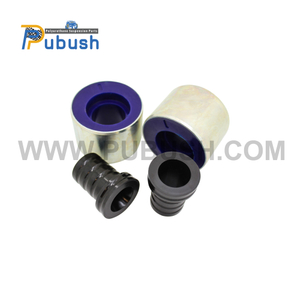 Control Arm Lower-Rear Polyurethane Bush Kit - Double Offset